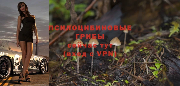 эйфоретик Касимов