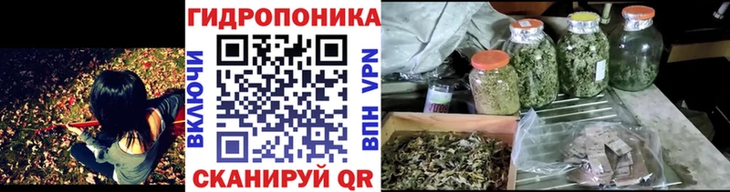 Каннабис планчик Себеж